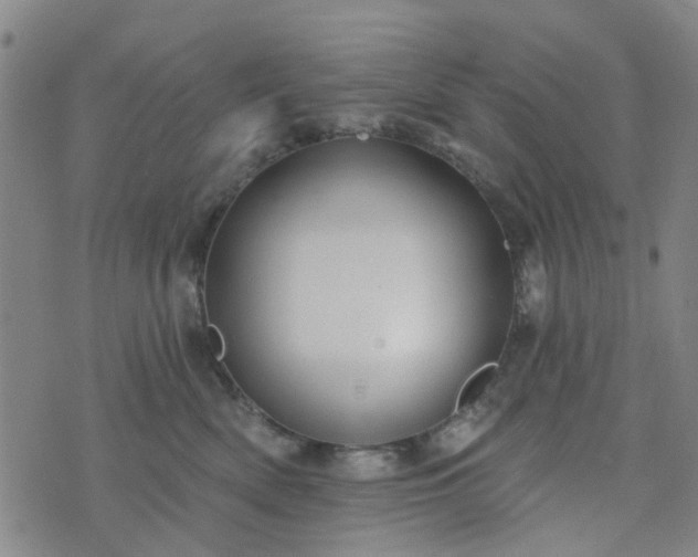 X0000076380522200610161118