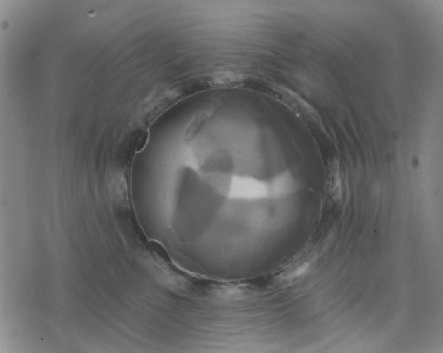 X0000076380523200610161118