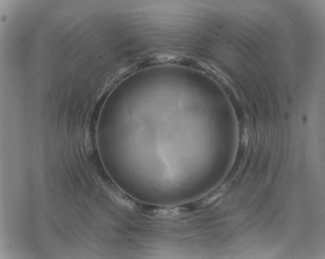 X0000076380524200610161118