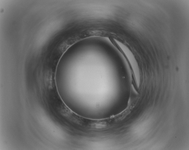 X0000076380525200610161118