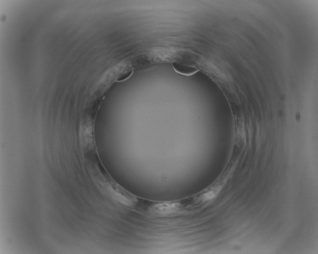 X0000076380526200610161118