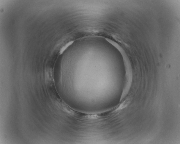 X0000076380528200610161118