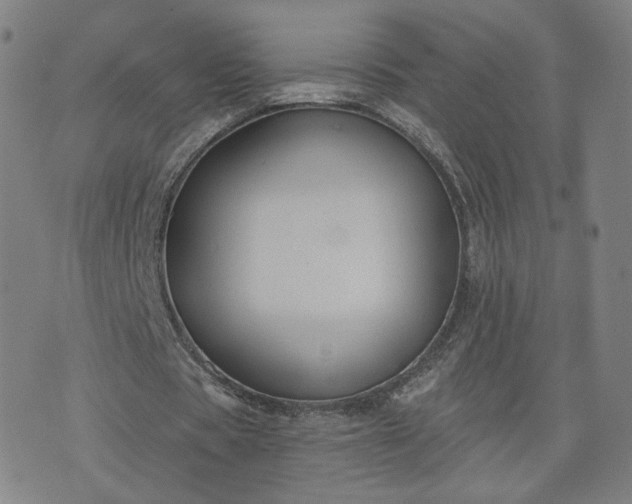 X0000076380529200610161117