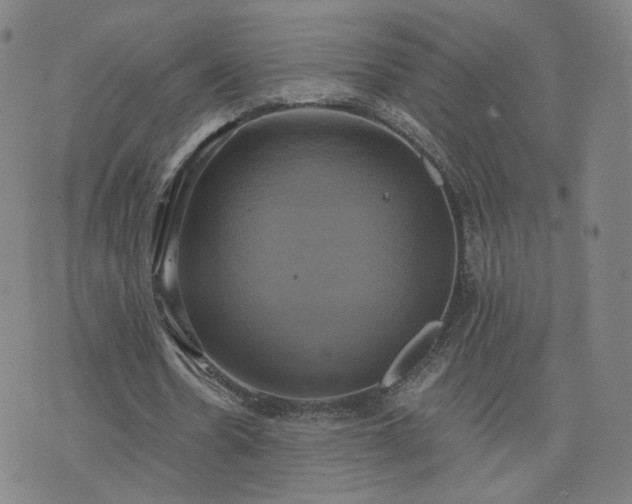 X0000076380530200610161117