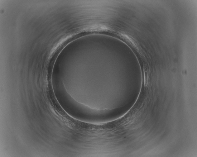 X0000076380531200610161117