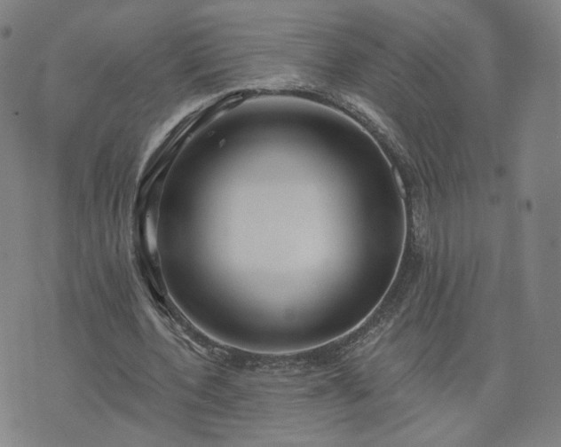 X0000076380532200610161117