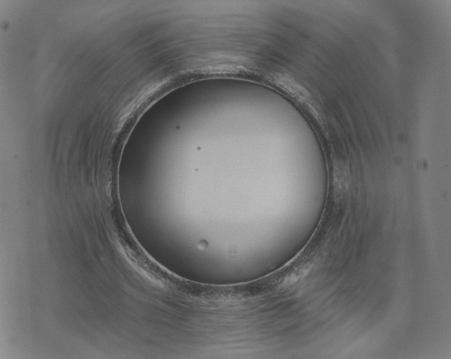 X0000076380533200610161117