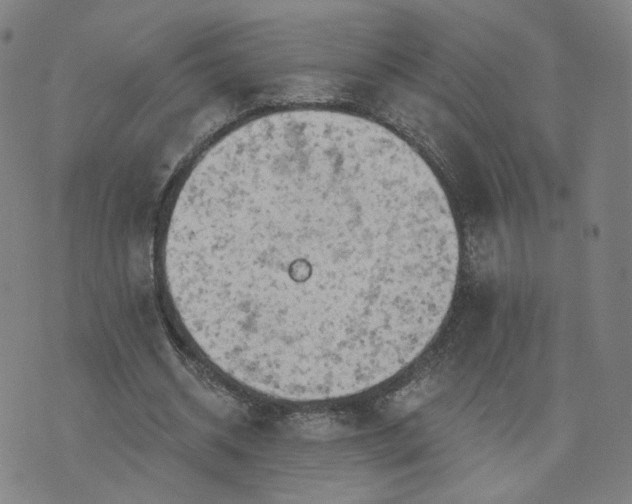 X0000076380534200610161117