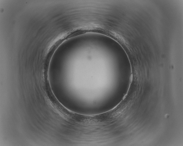 X0000076380535200610161117