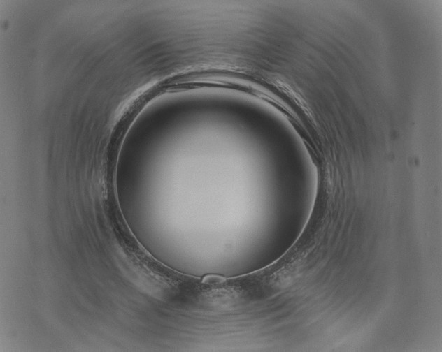 X0000076380536200610161117