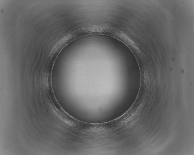 X0000076380537200610161117