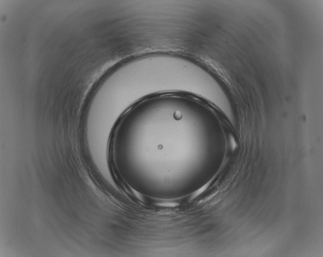 X0000076380540200610161117