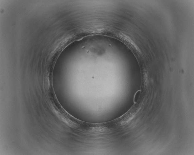 X0000076380541200610161117