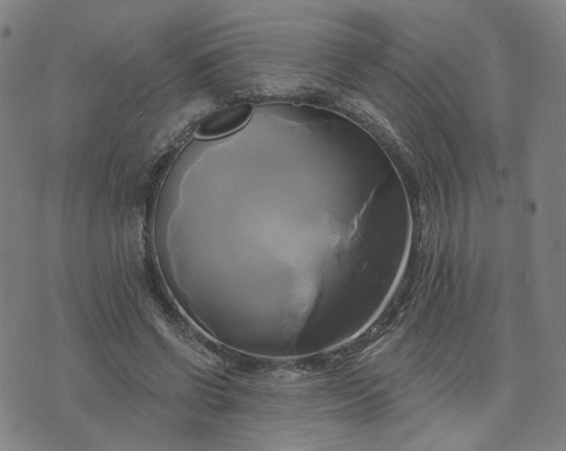 X0000076380542200610161117