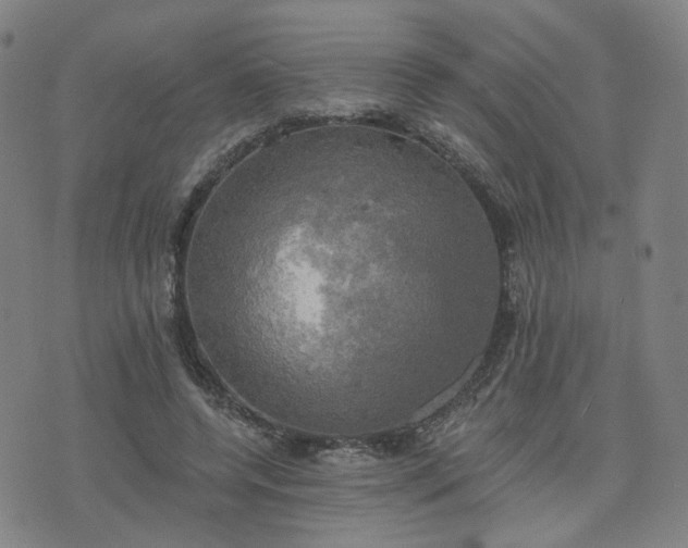 X0000076380544200610161117