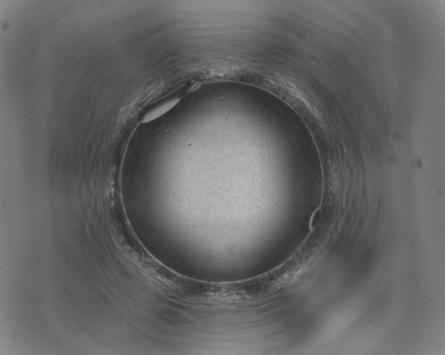 X0000076380545200610161117