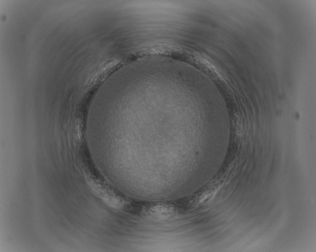 X0000076380546200610161117