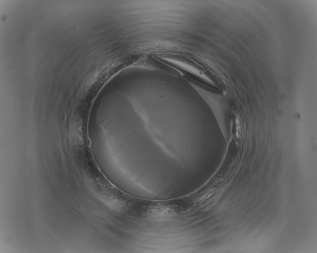 X0000076380547200610161117