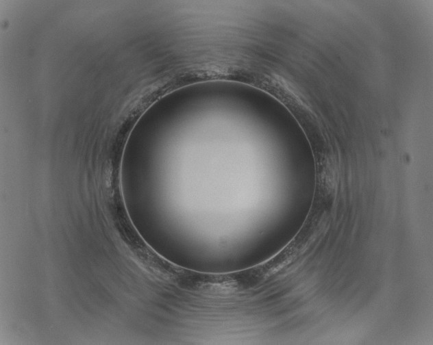 X0000076380548200610161117