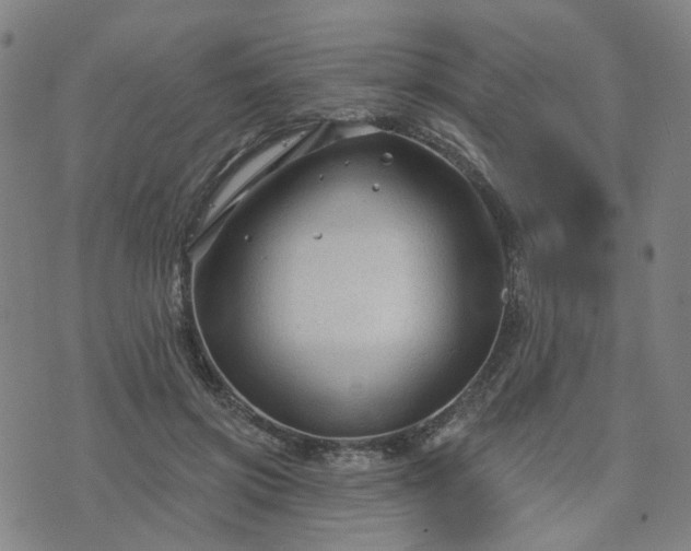 X0000076380549200610161117