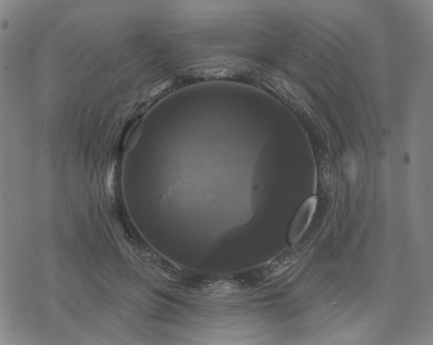 X0000076380551200610161118