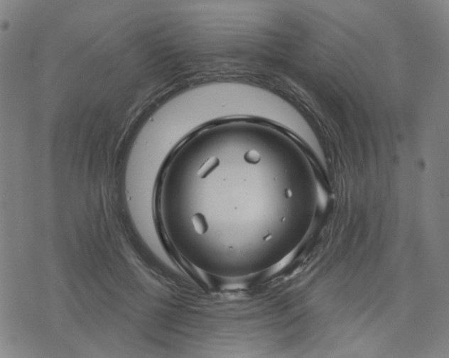 X0000076380552200610161118