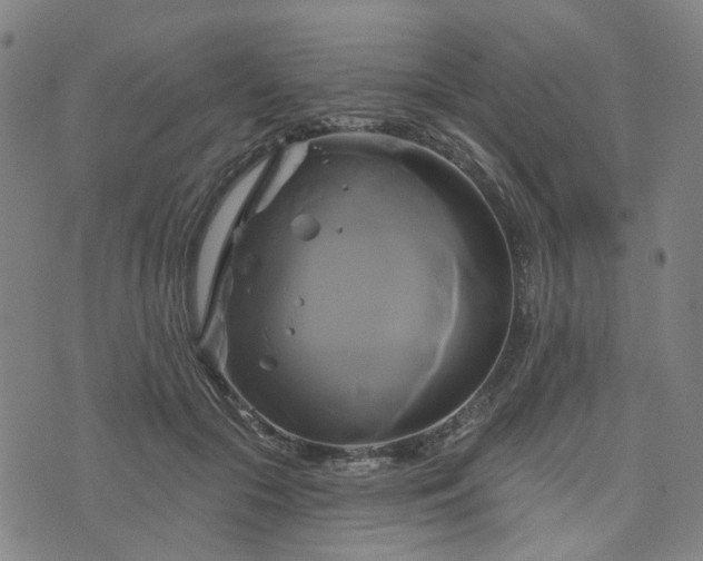 X0000076380553200610161118