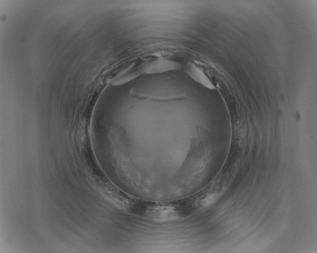 X0000076380554200610161118