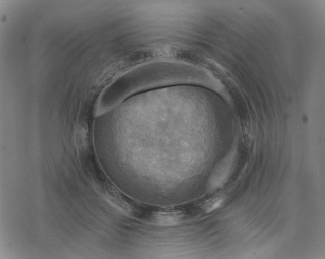 X0000076380556200610161118