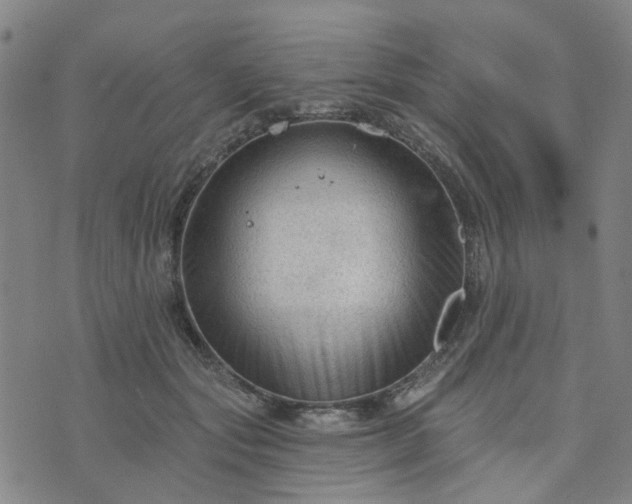 X0000076380557200610161118