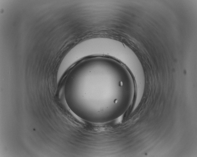 X0000076380558200610161118