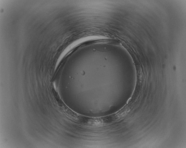 X0000076380559200610161118