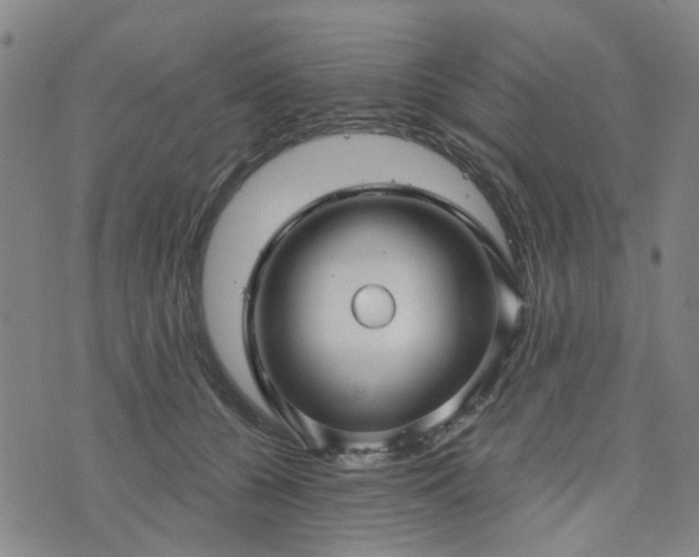 X0000076380560200610161118