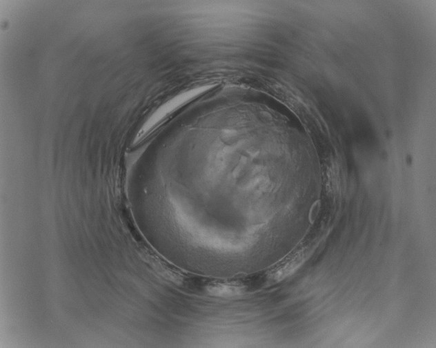 X0000076380561200610161118