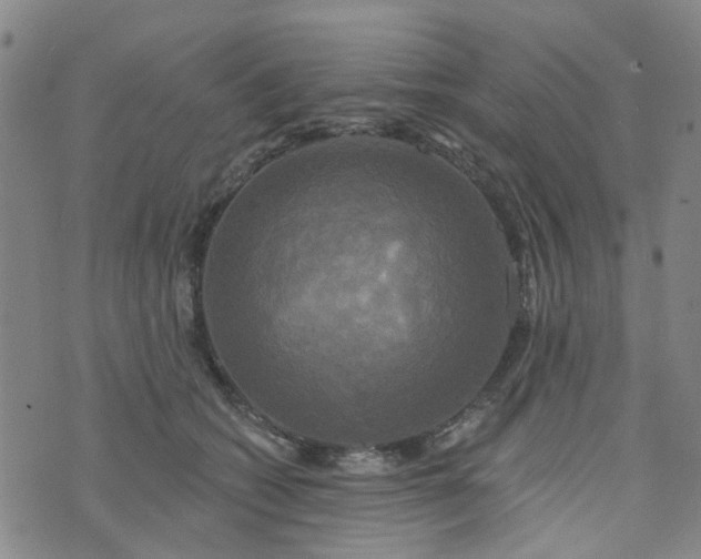 X0000076380562200610161118