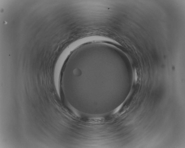 X0000076380563200610161118