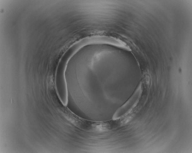 X0000076380564200610161118