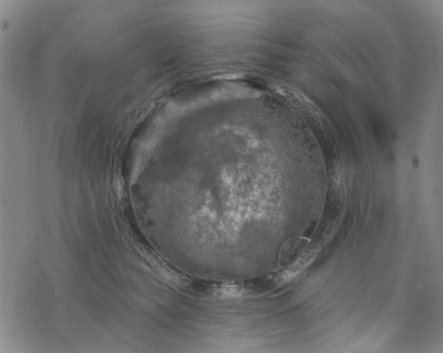 X0000076380565200610161118