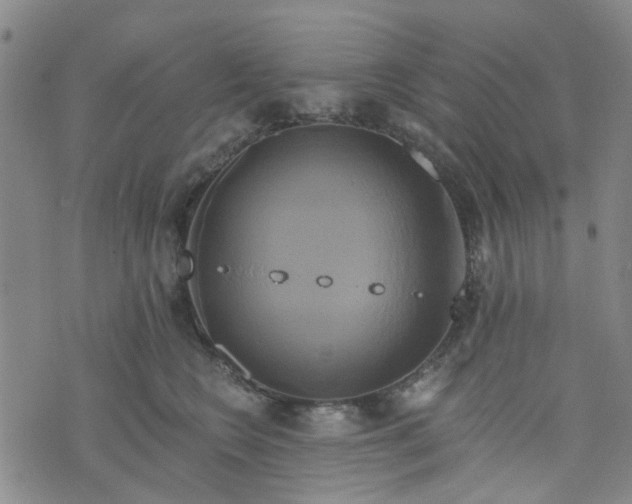 X0000076380566200610161118