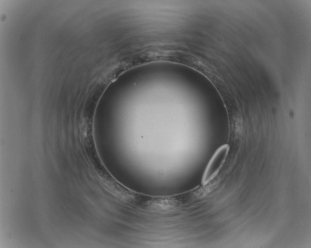 X0000076380567200610161118