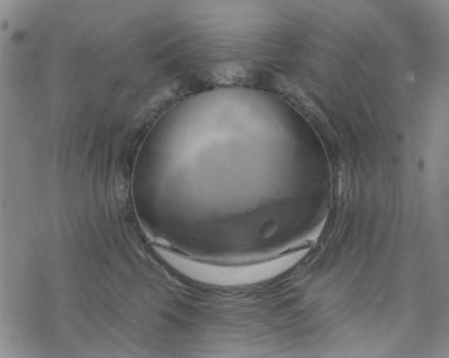 X0000076380569200610161118