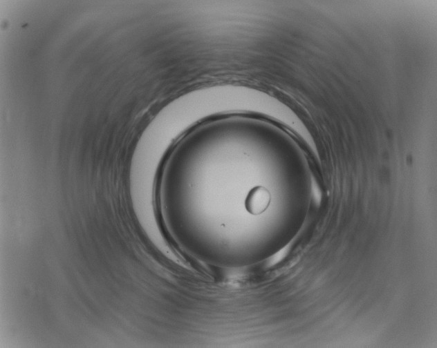 X0000076380572200610161118