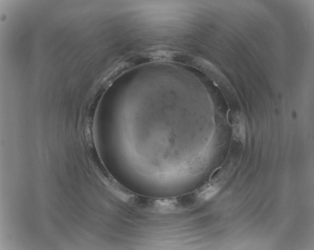 X0000076380573200610161118