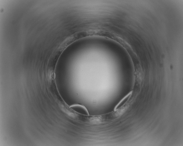 X0000076380574200610161118