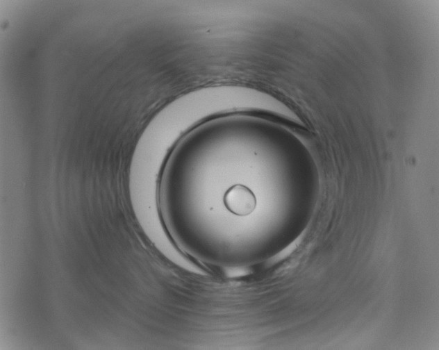 X0000076380576200610161118