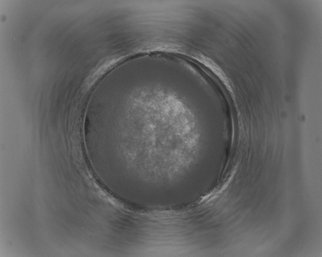 X0000076380577200610161117