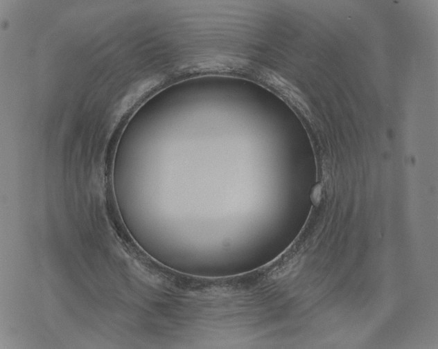 X0000076380578200610161117