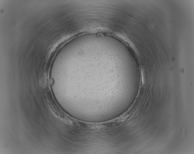 X0000076380579200610161117