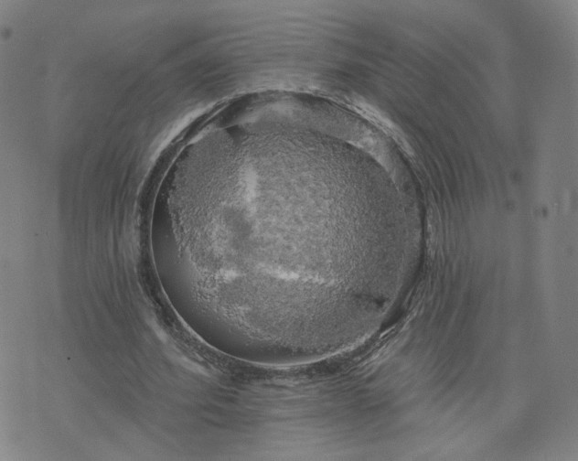 X0000076380580200610161117