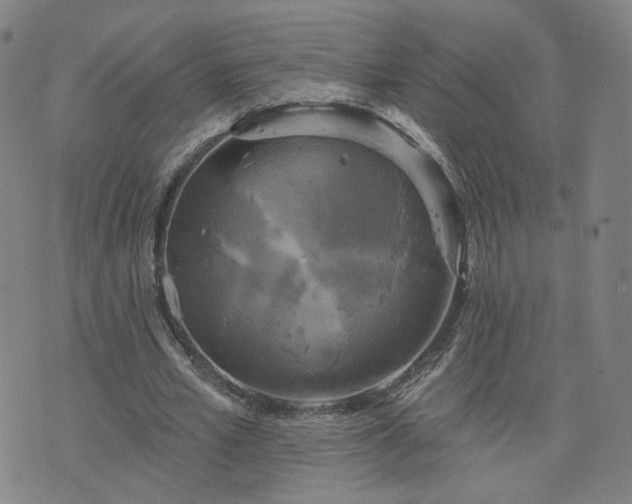 X0000076380581200610161117